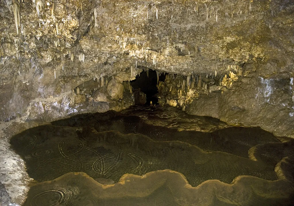 Harrison's Cave Rules and Visitor Safety