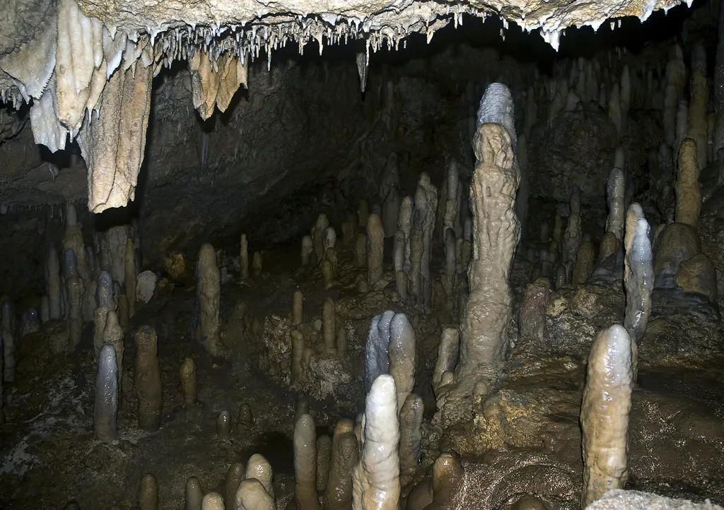Harrison's Cave